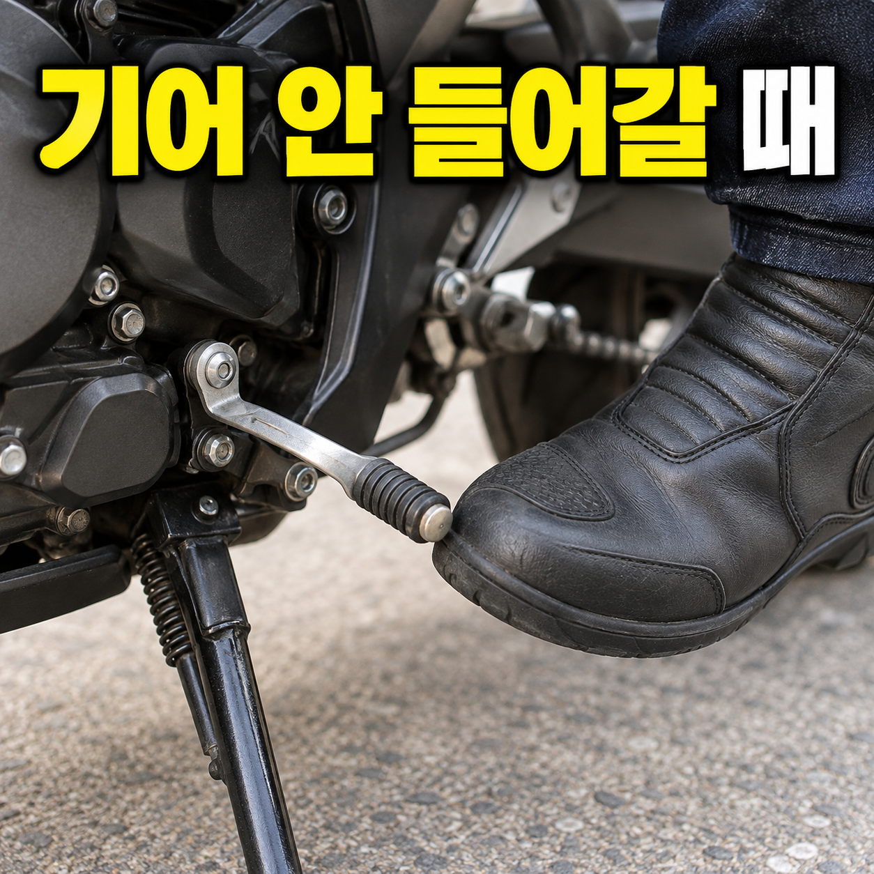 본문 이미지 1