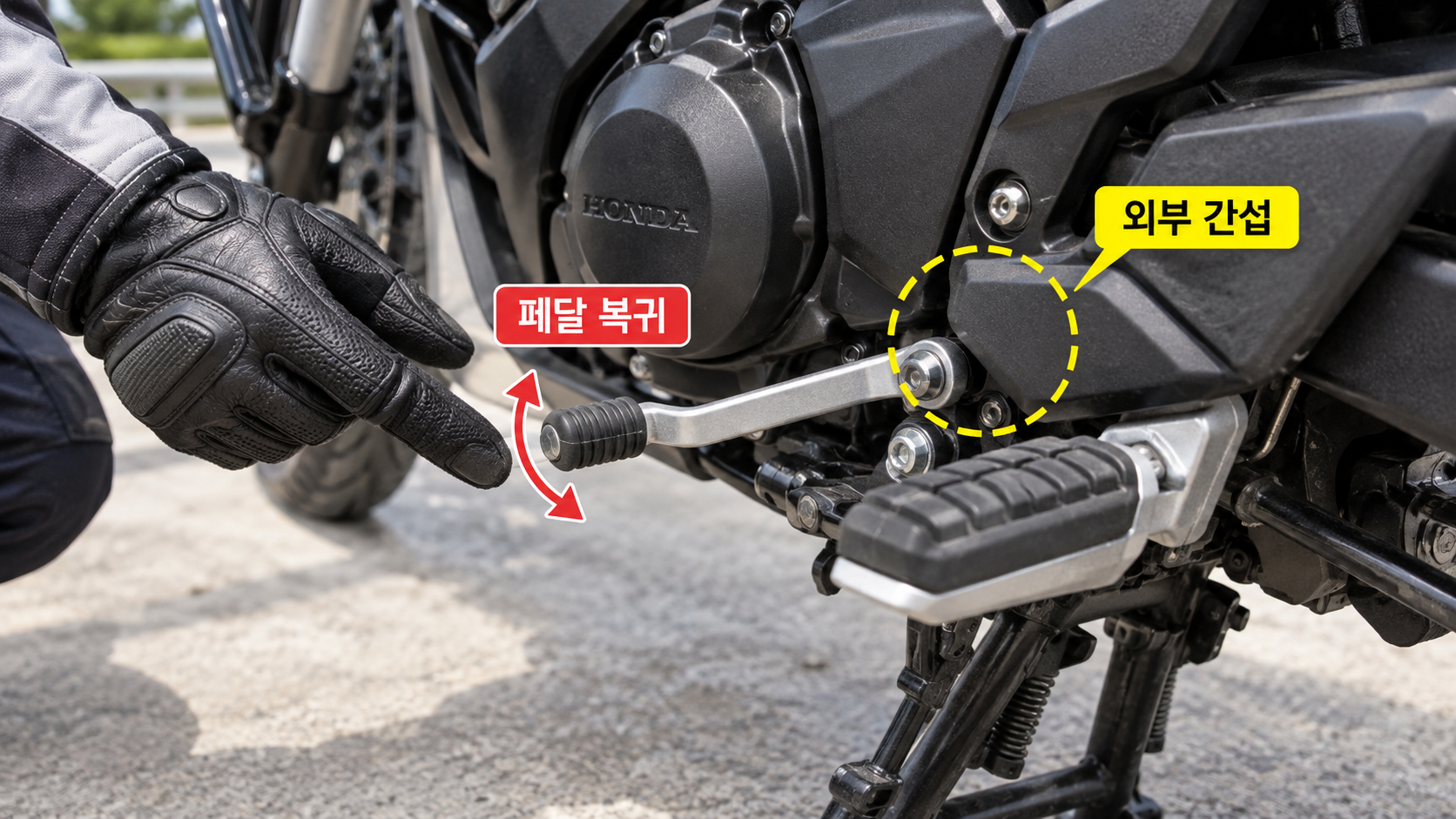 본문 이미지 3