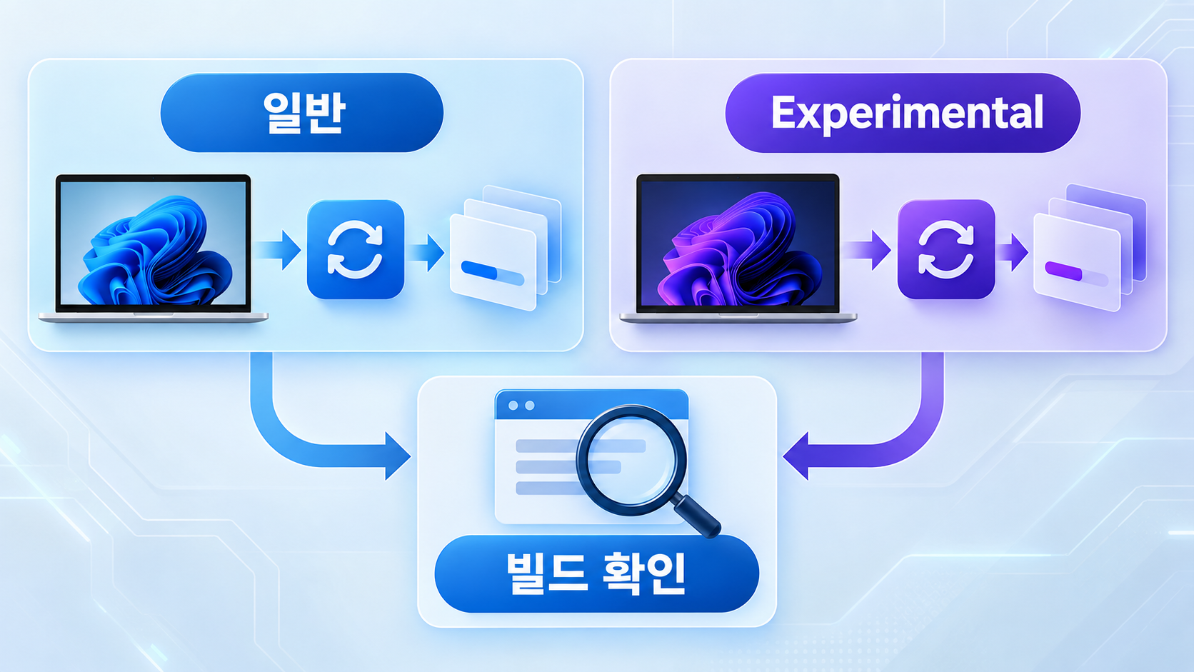 본문 이미지 2