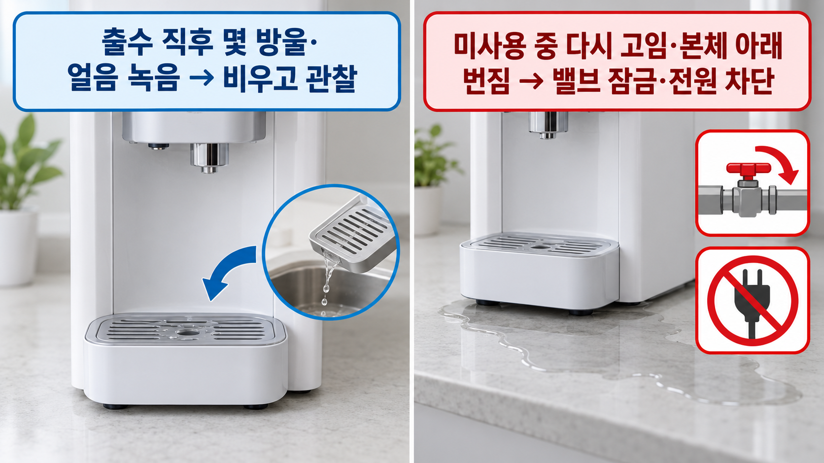 본문 이미지 2